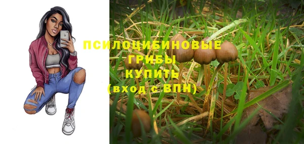дживик Медвежьегорск